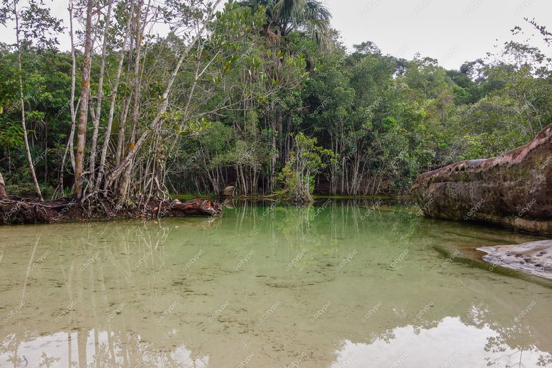 Presidente Figueiredo, Amazonas, corpo d’água esverdeado cercado por vegetação densa em dia nublado com rochas