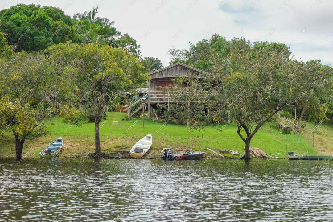 Manaus, Amazonas vista do Rio Amazonas com casa de madeira elevada, canoas e vegetação densa em dia nublado