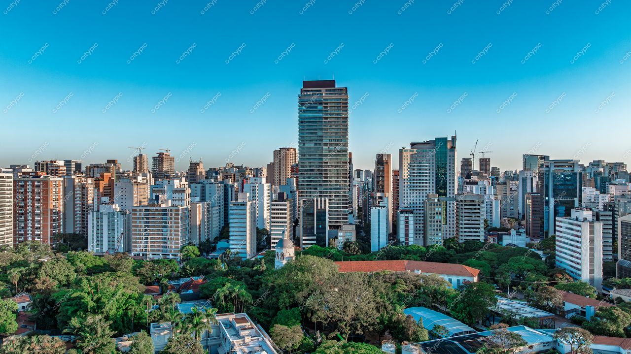 São Paulo, São Paulo, vista panorâmica em dia ensolarado com edifícios contemporâneos e árvores verdes em primeiro plano