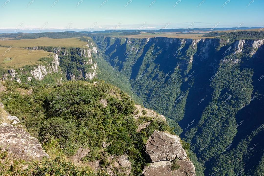 Cambará do Sul, Rio Grande do Sul vista panorâmica do cânion com vegetação densa e céu claro em luz natural