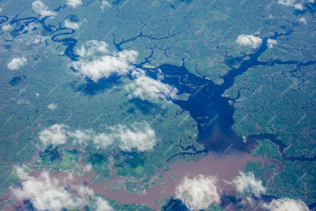 Manaus, Amazonas, vista aérea de vegetação densa com rios sinuosos e lagos azuis sob luz natural do dia