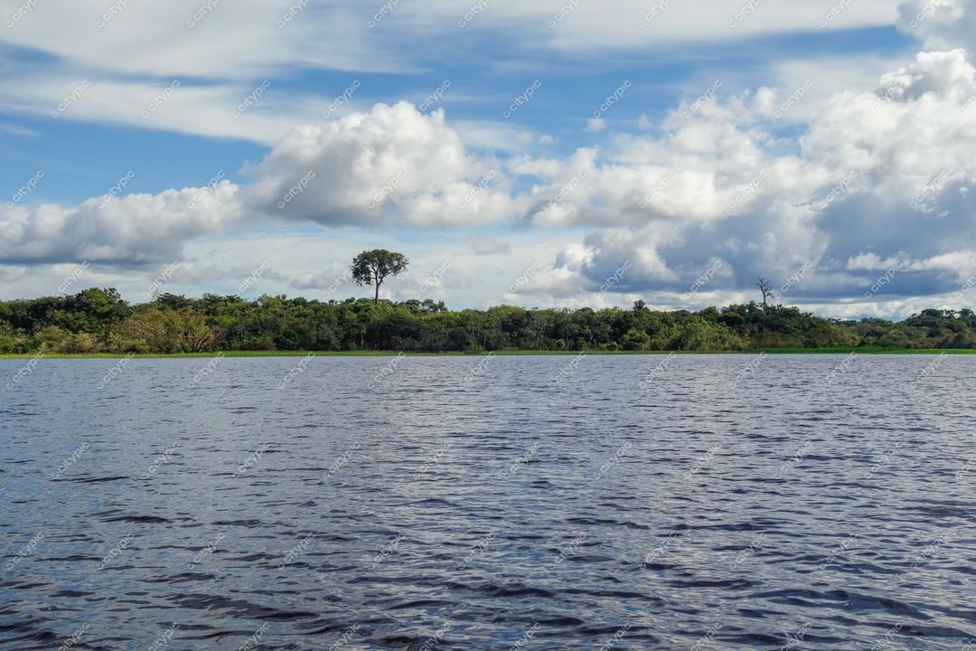Manaus, Amazonas, águas calmas do rio refletindo céu azul e nuvens brancas com vegetação densa à margem