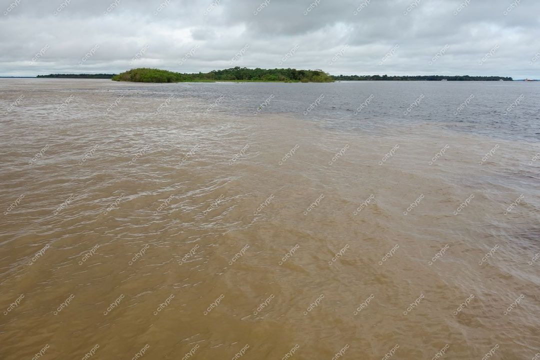 Manaus, Amazonas, encontro de rios com tonalidades marrons e esverdeadas sob céu nublado e vegetação densa