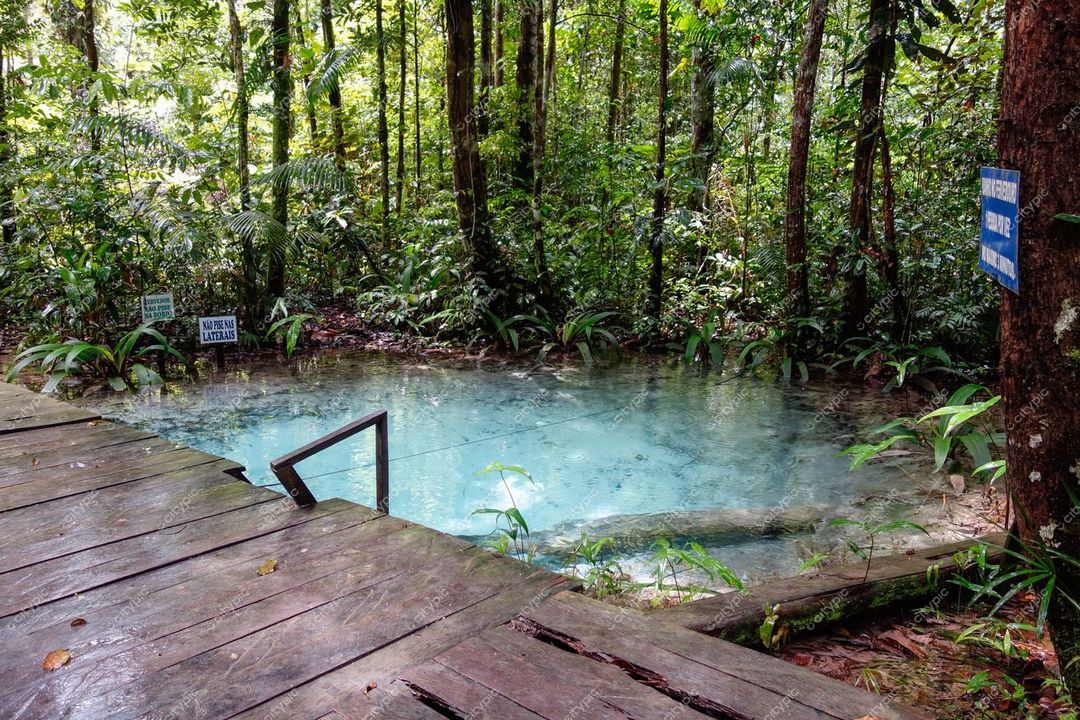 Presidente Figueiredo, Amazonas, piscina natural de águas termais com caminho de madeira e vegetação densa ao redor