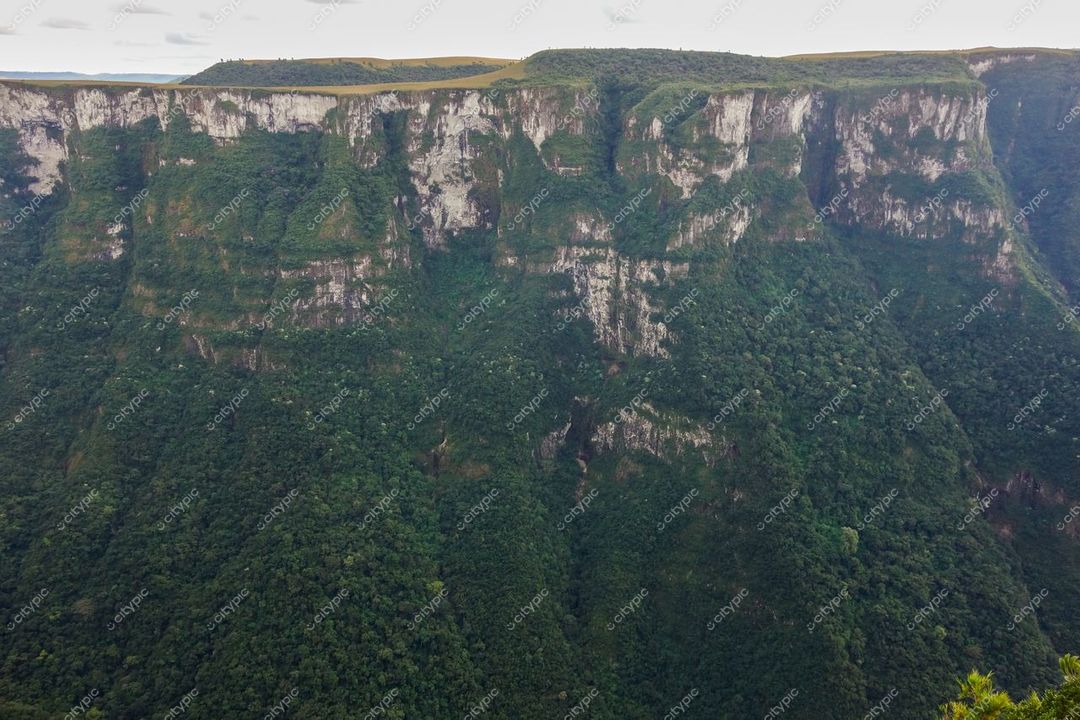 Cambará do Sul, Rio Grande do Sul, falésias verticais cobertas de vegetação densa sob céu nublado e iluminação difusa