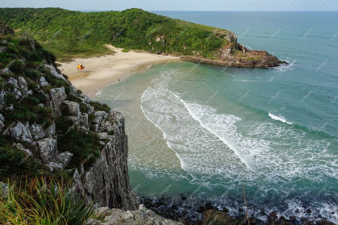 Torres, Rio Grande do Sul, vista panorâmica da costa com areia clara e vegetação verdejante em dia ensolarado