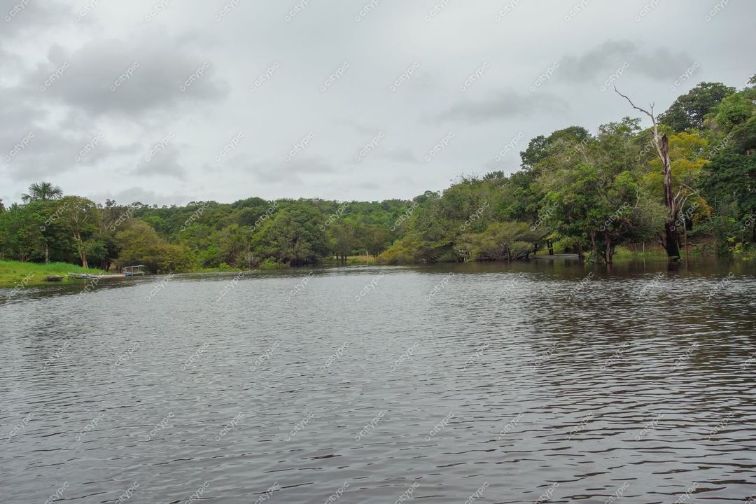 Manaus, Amazonas, vista tranquila de rio com vegetação tropical e reflexos sob céu nublado em iluminação suave