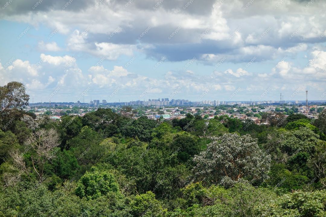 Manaus, Amazonas, vista panorâmica com vegetação densa e horizonte urbano sob luz suave em dia nublado