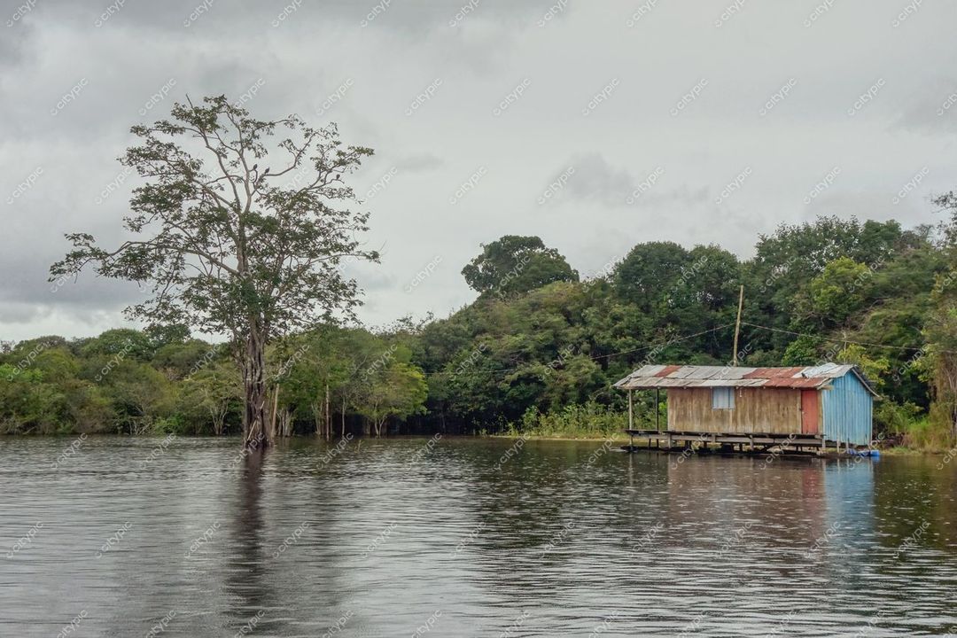 Manaus, Amazonas, chalé de madeira à beira de igarapé com vegetação densa e céu nublado ao fundo