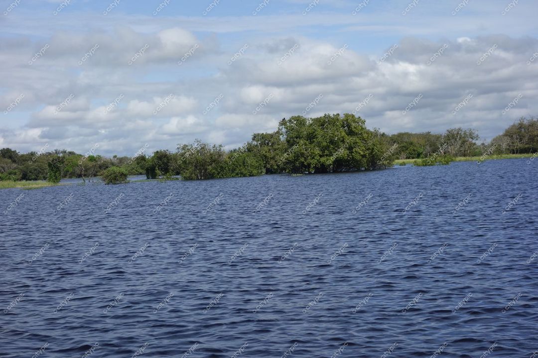 Manaus, Amazonas, vista de ilhas com vegetação densa refletindo em água tranquila sob céu nublado e luz suave