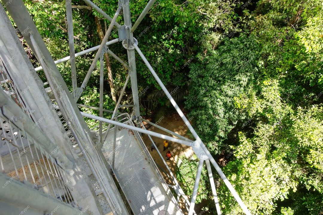Manaus, Amazonas, vista elevada de estrutura metálica cercada por vegetação tropical e curso d’água em dia ensolarado