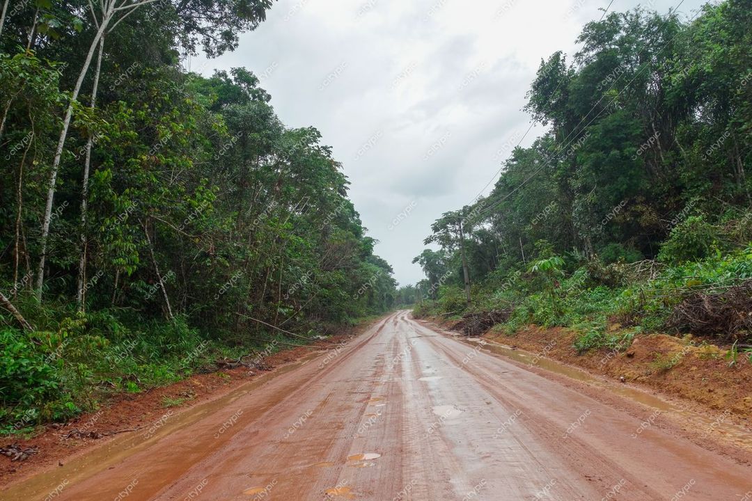 Presidente Figueiredo, Amazonas, estrada de terra molhada cercada por densa vegetação em dia nublado e úmido
