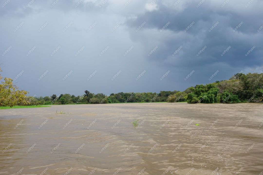 Manaus, Amazonas com rio de águas barrentas e vegetação exuberante sob céu parcialmente nublado e atmosfera tranquila