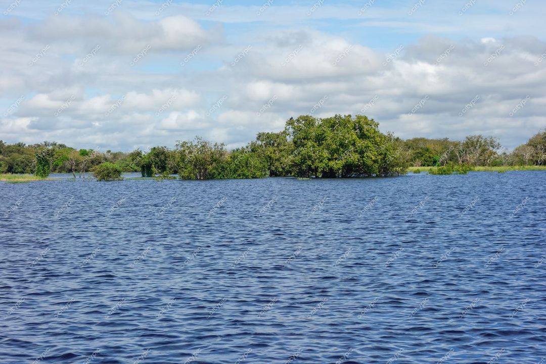 Manaus, Amazonas, paisagem natural com corpo de água azul e ilhas verdes sob céu parcialmente nublado durante o dia