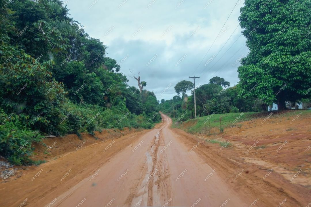Manaus, Amazonas, estrada de terra estreita com vegetação densa e solo úmido após chuva em dia nublado