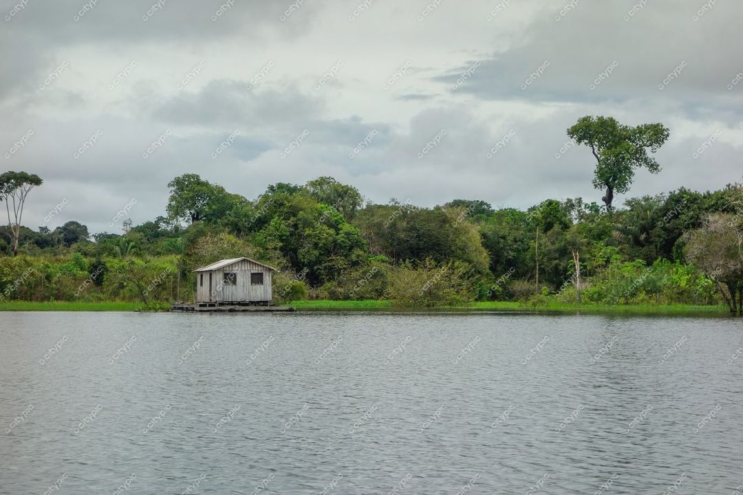 Manaus, Amazonas, casa de madeira em palafitas sobre lago sereno com vegetação tropical e céu nublado pela manhã