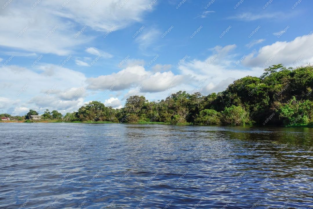 Manaus, Amazonas, vista do rio com águas calmas refletindo céu azul e vegetação densa à margem esquerda