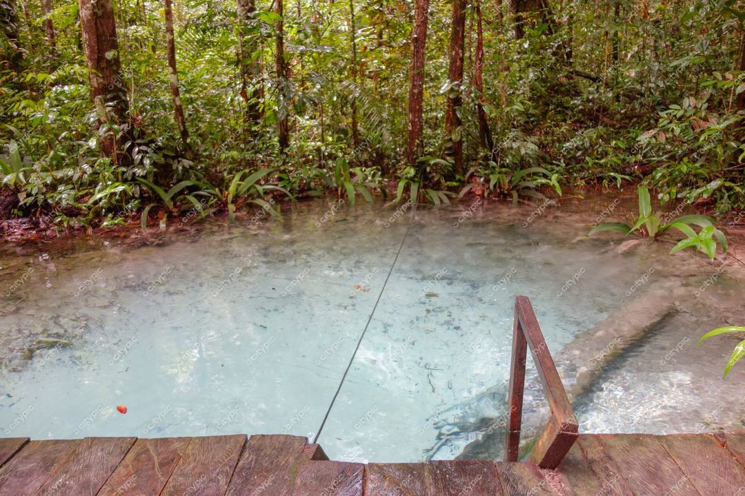 Presidente Figueiredo, Amazonas, piscina natural com vegetação densa e vapor na água em iluminação matinal
