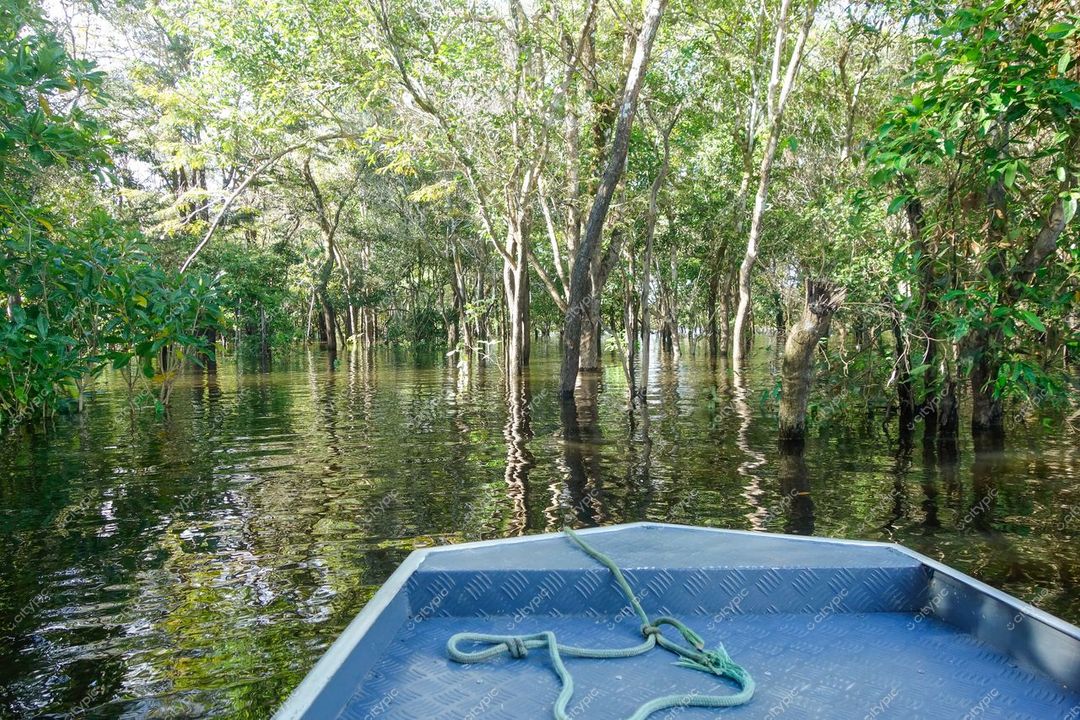 Manaus, Amazonas, vista serena da floresta inundada com barco metalizado e vegetação tropical iluminada pela luz do dia