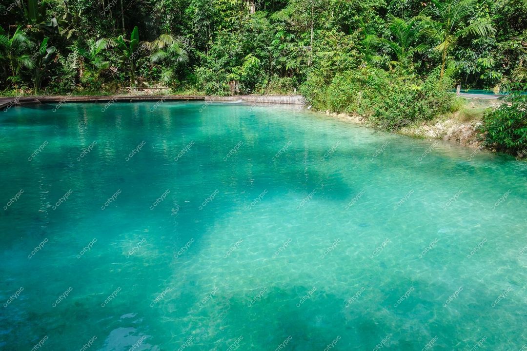 Presidente Figueiredo, Amazonas, lago de águas claras cercado por densa vegetação tropical em iluminação natural diurna