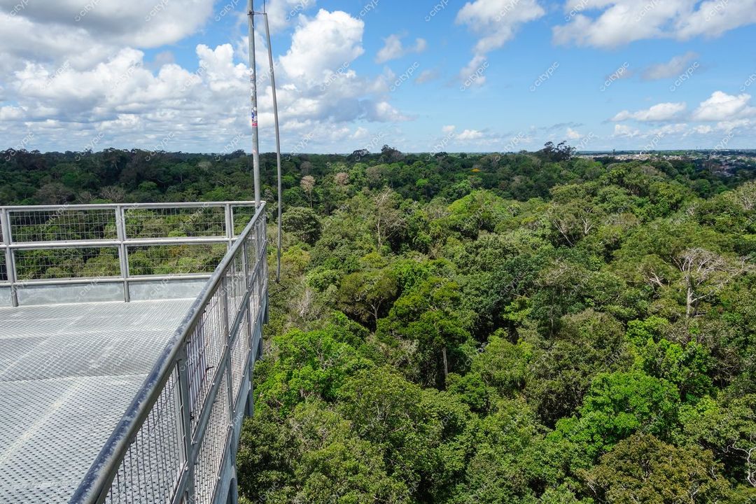 Manaus, Amazonas vista panorâmica da floresta amazônica com céu parcialmente nublado e vegetação densa durante o dia