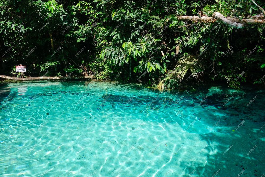 Presidente Figueiredo, Amazonas, piscina natural com água cristalina e vegetação densa em ambiente tropical sereno
