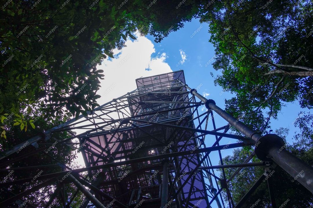 Manaus, Amazonas, torre metálica em meio à vegetação densa sob céu azul iluminado, perspectiva de baixo para cima