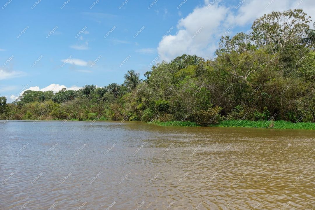 Manaus, Amazonas, área ribeirinha com rio de águas escuras e vegetação densa sob céu parcialmente nublado