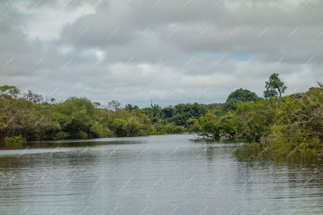 Manaus, Amazonas, paisagem serena com rio calmo refletindo vegetação densa sob céu parcialmente nublado