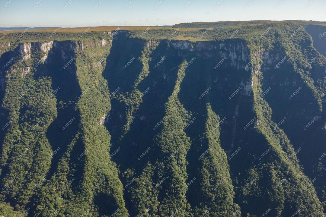 Cambará do Sul, Rio Grande do Sul vista panorâmica com formações rochosas verticais e vegetação densa sob luz natural