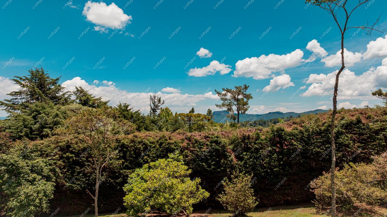Campos do Jordão, São Paulo, paisagem serena com vegetação densa e relevo montanhoso sob céu azul claro