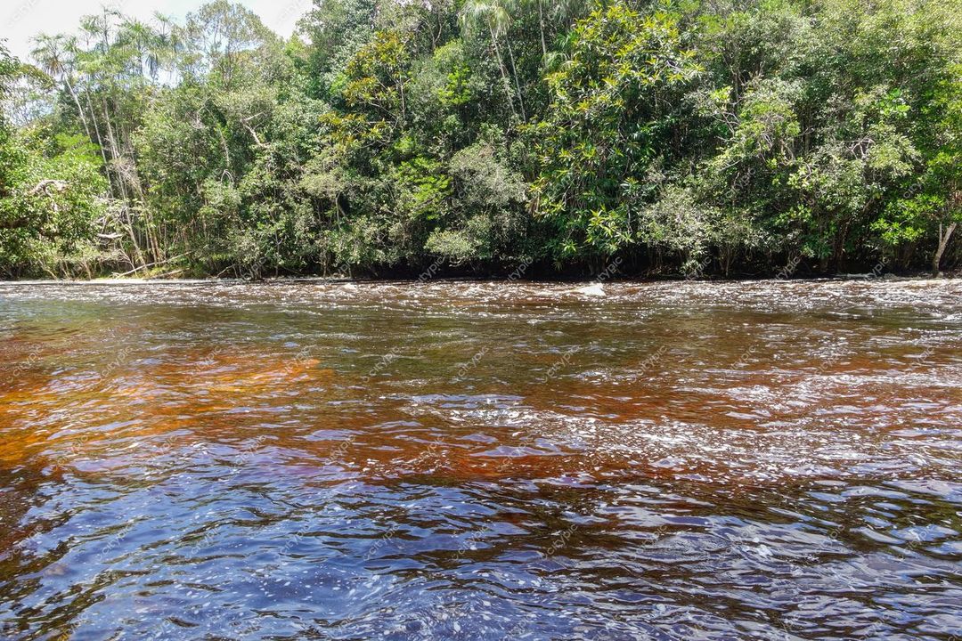 Presidente Figueiredo, Amazonas, reflexos de água marrom e laranja com vegetação densa sob céu claro durante o dia