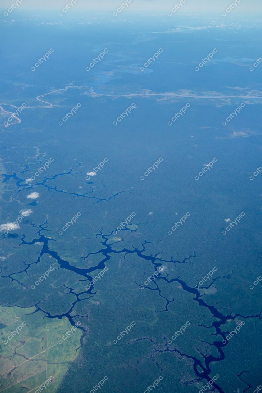 Manaus, Amazonas, vista aérea da floresta com rios e igarapés em dia claro e vegetação densa