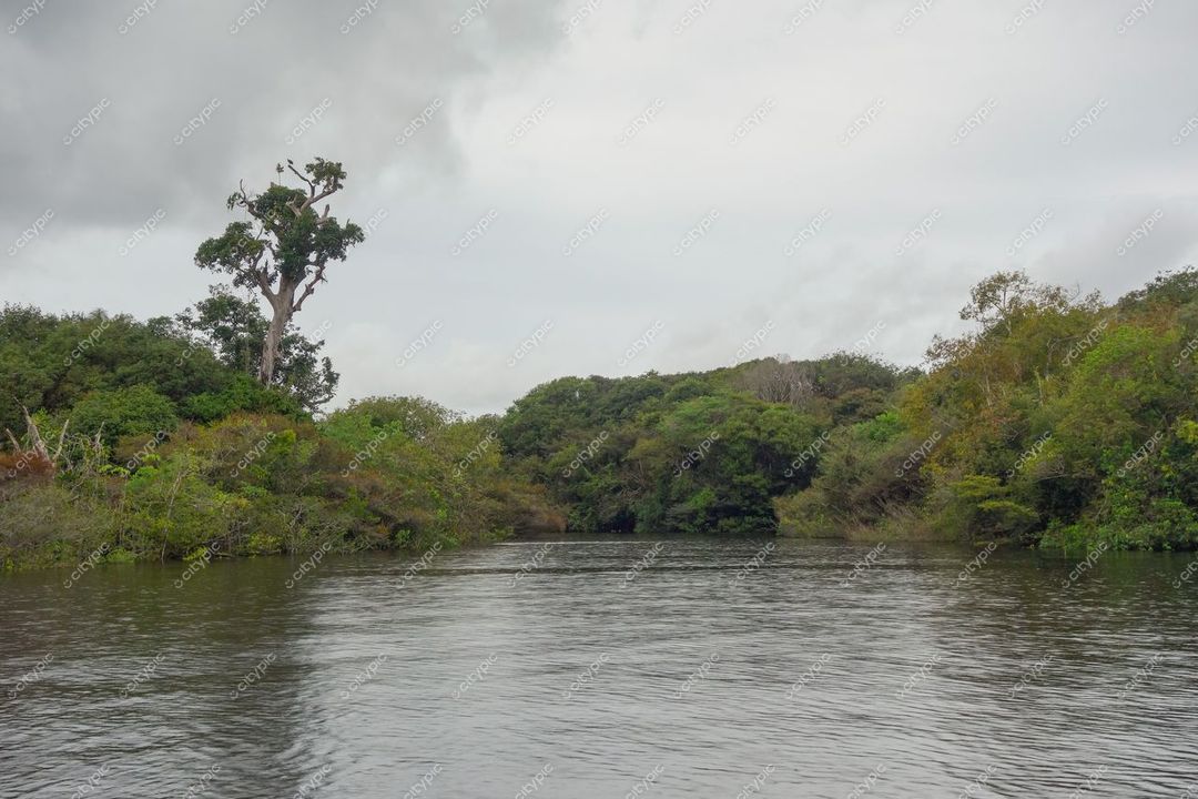 Manaus, Amazonas vista tranquila do rio com reflexos de céu nublado e vegetação densa ao redor