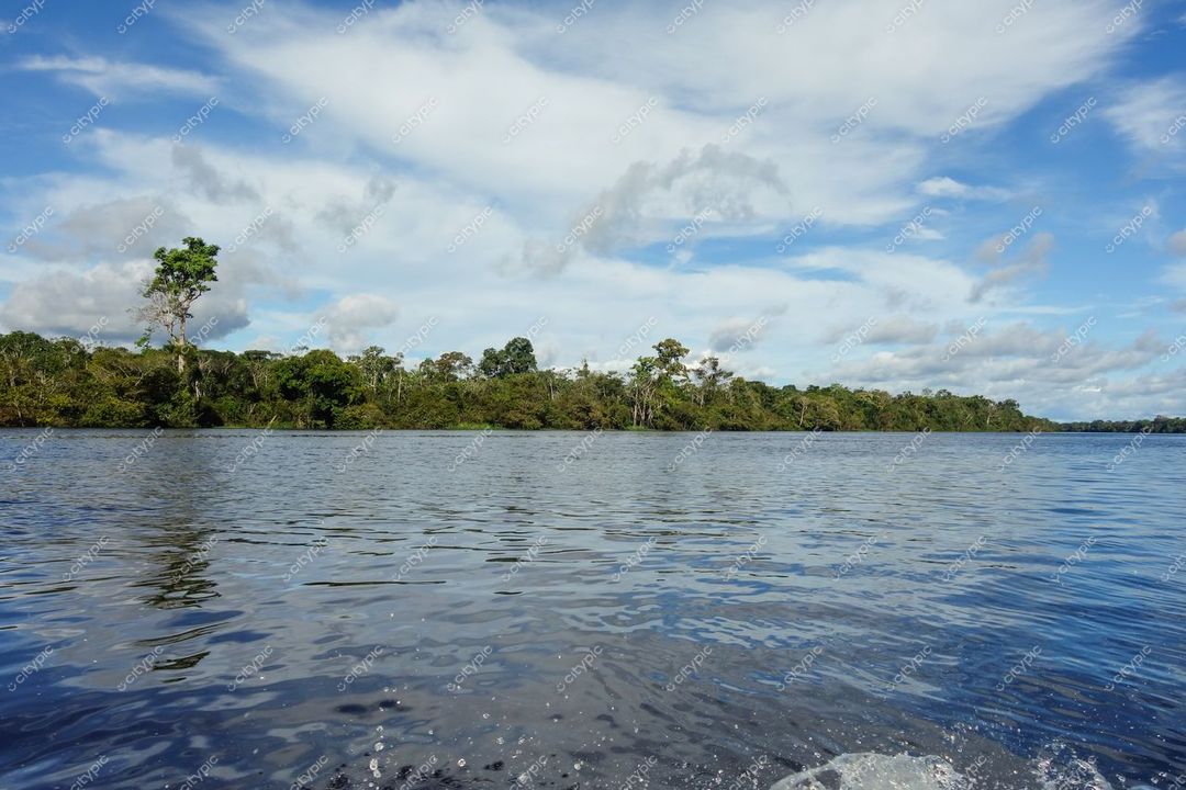 Manaus, Amazonas, paisagem fluvial com águas calmas refletindo céu nublado e densa vegetação amazônica ao fundo