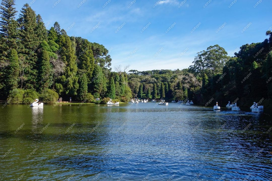 Gramado, Rio Grande do Sul apresenta lago sereno com pedalinhos brancos e vegetação densa em dia ensolarado