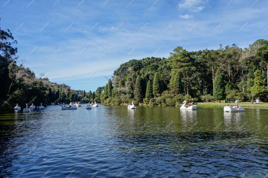 Gramado, Rio Grande do Sul, lago tranquilo com pedalinhos em formato de cisne e vegetação densa ao redor