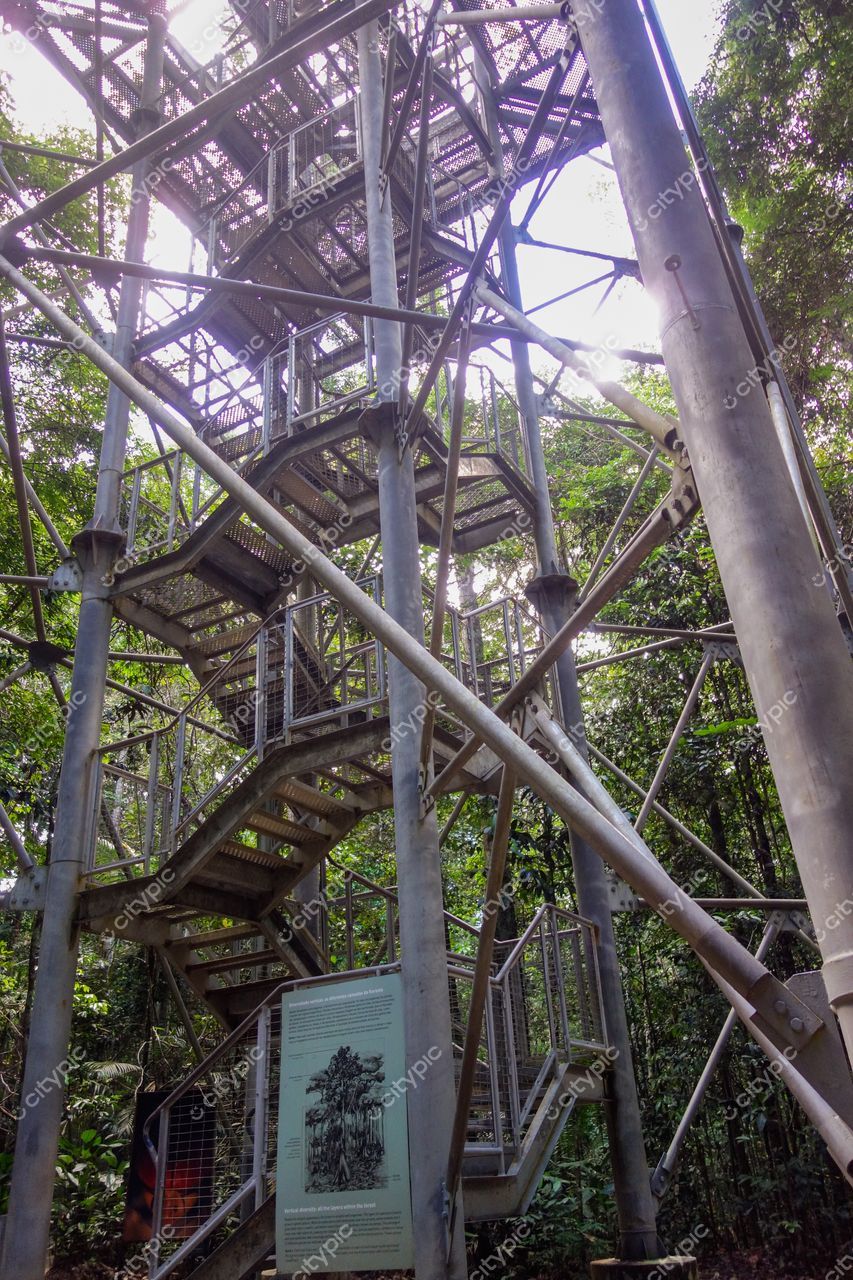 Manaus, Amazonas, torre de observação em meio à floresta tropical com iluminação natural e densa vegetação ao redor
