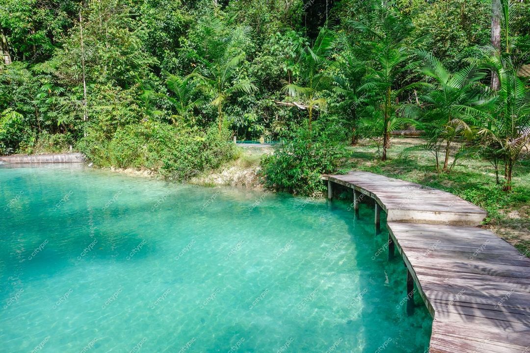 Presidente Figueiredo, Amazonas, lago cristalino cercado por vegetação tropical e passarela de madeira sob luz solar