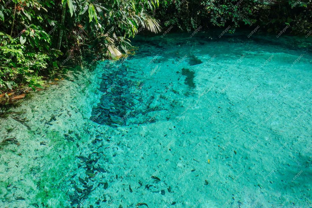 Presidente Figueiredo, Amazonas, corpo de água cristalina refletindo azul claro cercado por vegetação tropical densa e rochas