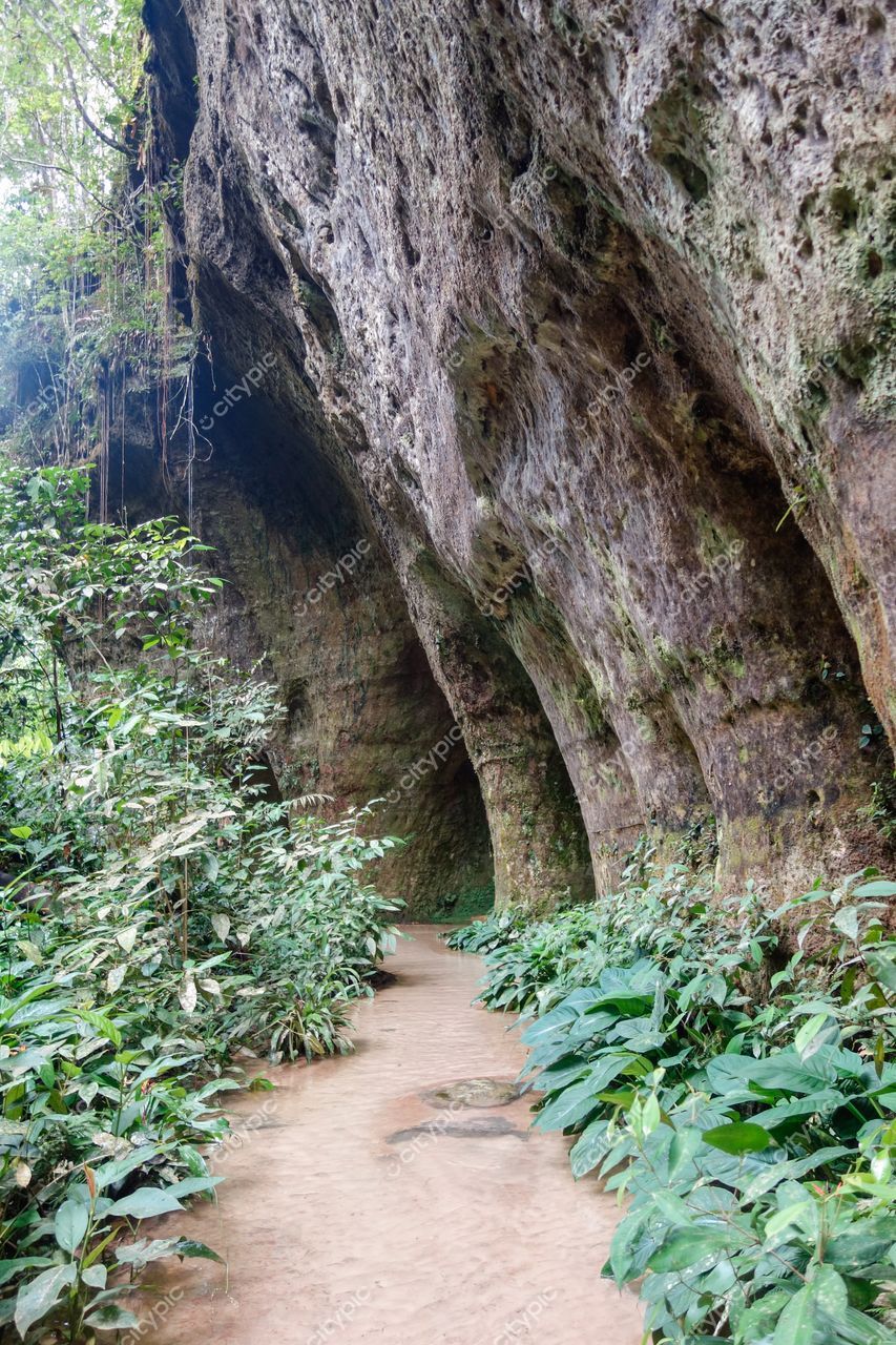 Presidente Figueiredo, Amazonas, caverna natural com paredes rochosas e vegetação tropical iluminada por luz natural