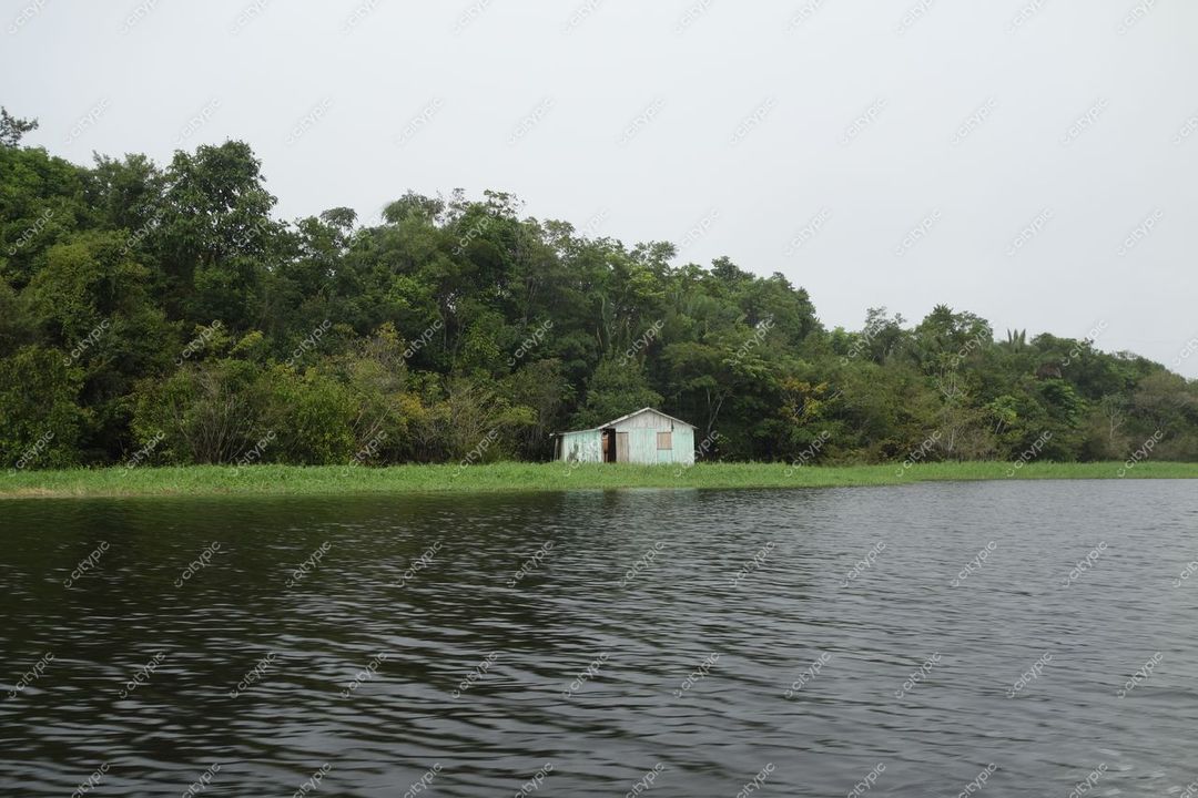 Manaus, Amazonas, casa verde pálido à margem de rio calmo com vegetação densa e céu nublado ao fundo