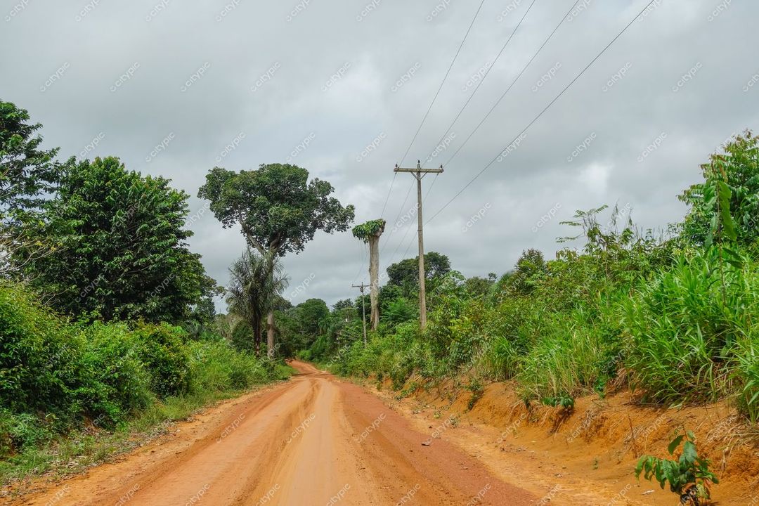 Manaus, Amazonas, estrada de terra vermelha cercada por vegetação densa e postes de eletricidade sob céu nublado