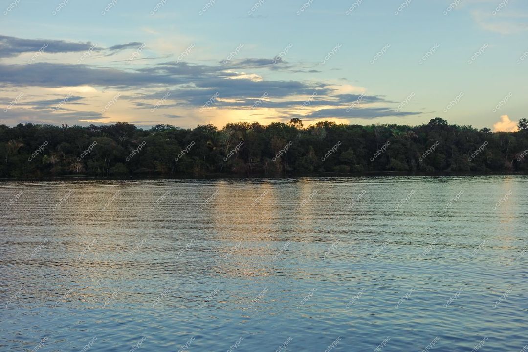 Manaus, Amazonas, vista tranquila do Rio Amazonas ao entardecer com reflexos e vegetação densa na margem oposta