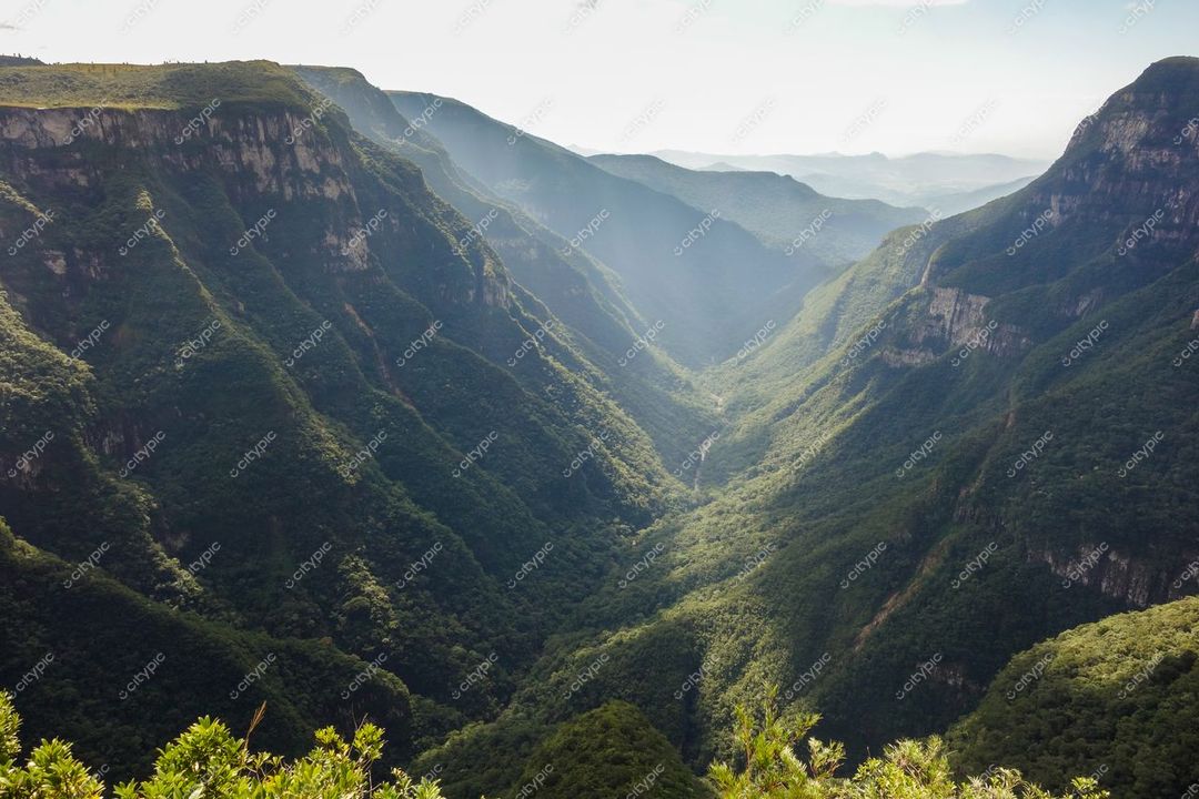 Cambará do Sul, Rio Grande do Sul, vista panorâmica do cânion ao amanhecer com luz suave e vegetação densa
