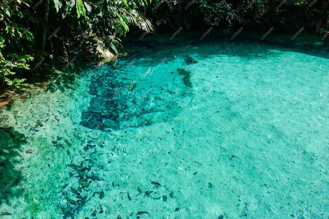 Presidente Figueiredo, Amazonas, piscina natural com água cristalina e vegetação tropical em dia ensolarado