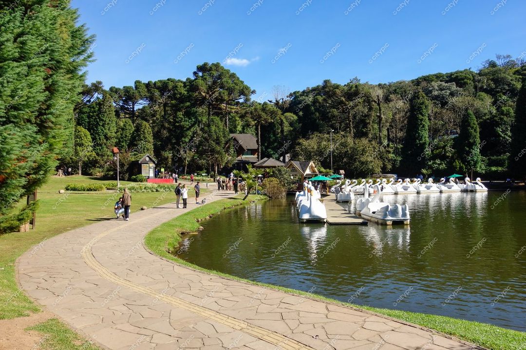 Gramado, Rio Grande do Sul, lago com pedalinhos em forma de cisne e vegetação densa sob céu azul durante o dia
