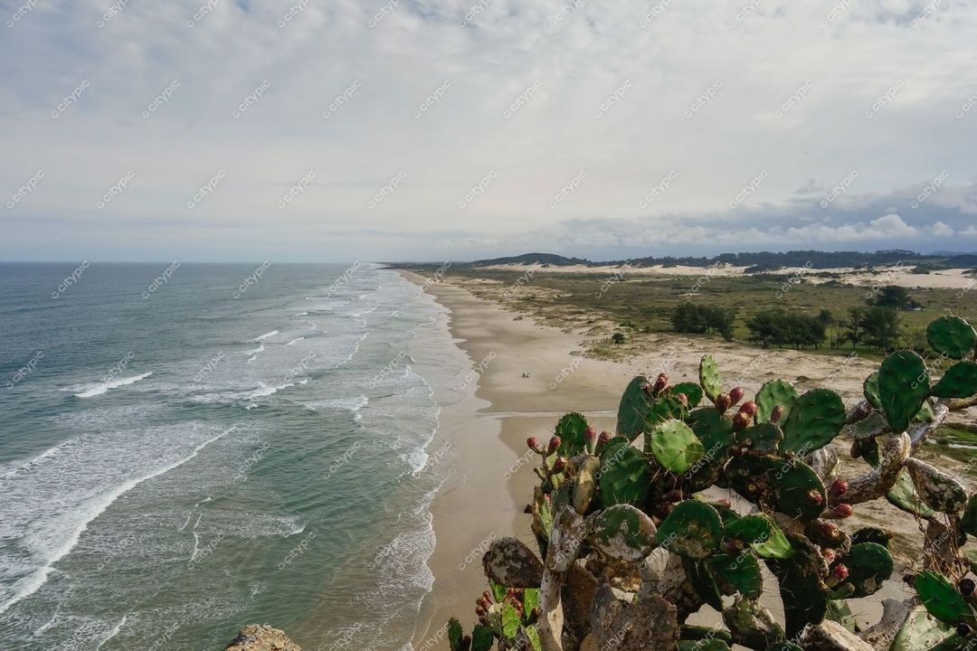 Torres, Rio Grande do Sul, vista panorâmica da costa com cacto em primeiro plano e céu nublado