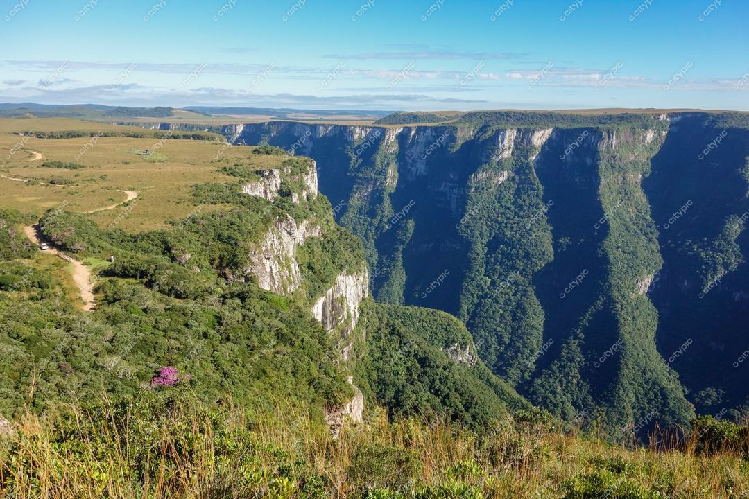 Cambará do Sul, Rio Grande do Sul, cânion com vegetação densa e paredes íngremes sob céu azul claro