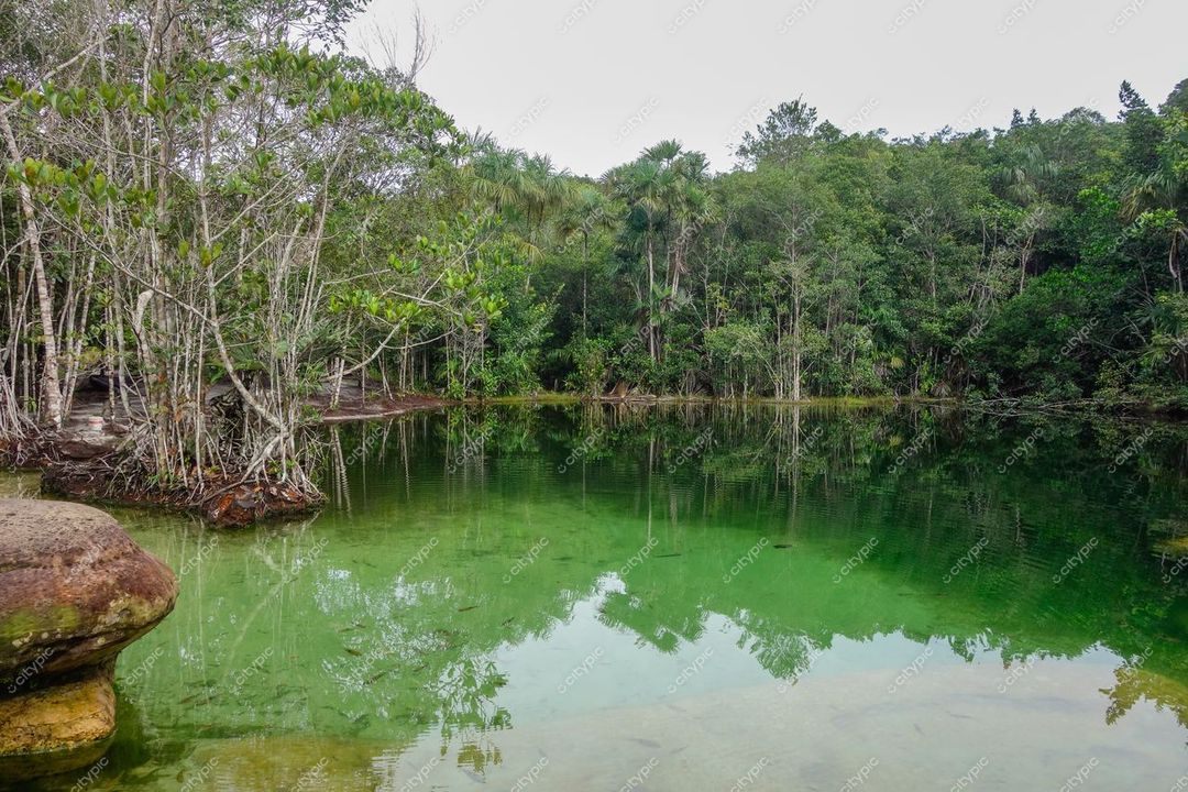 Presidente Figueiredo, Amazonas, lagoa serena com vegetação densa e reflexos em água esverdeada em dia nublado